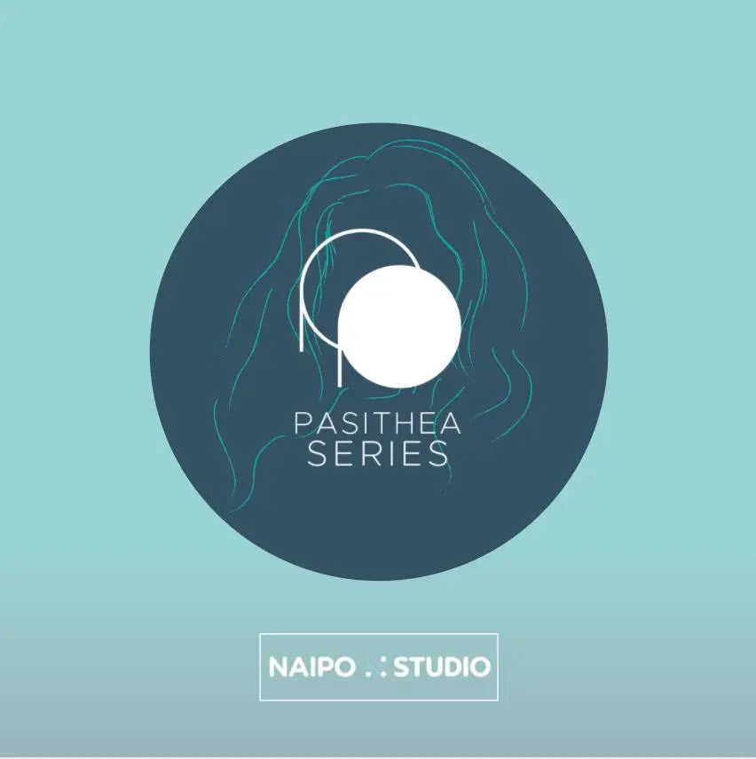 NAIPO-stellt-NAIPO-STUDIO-vor