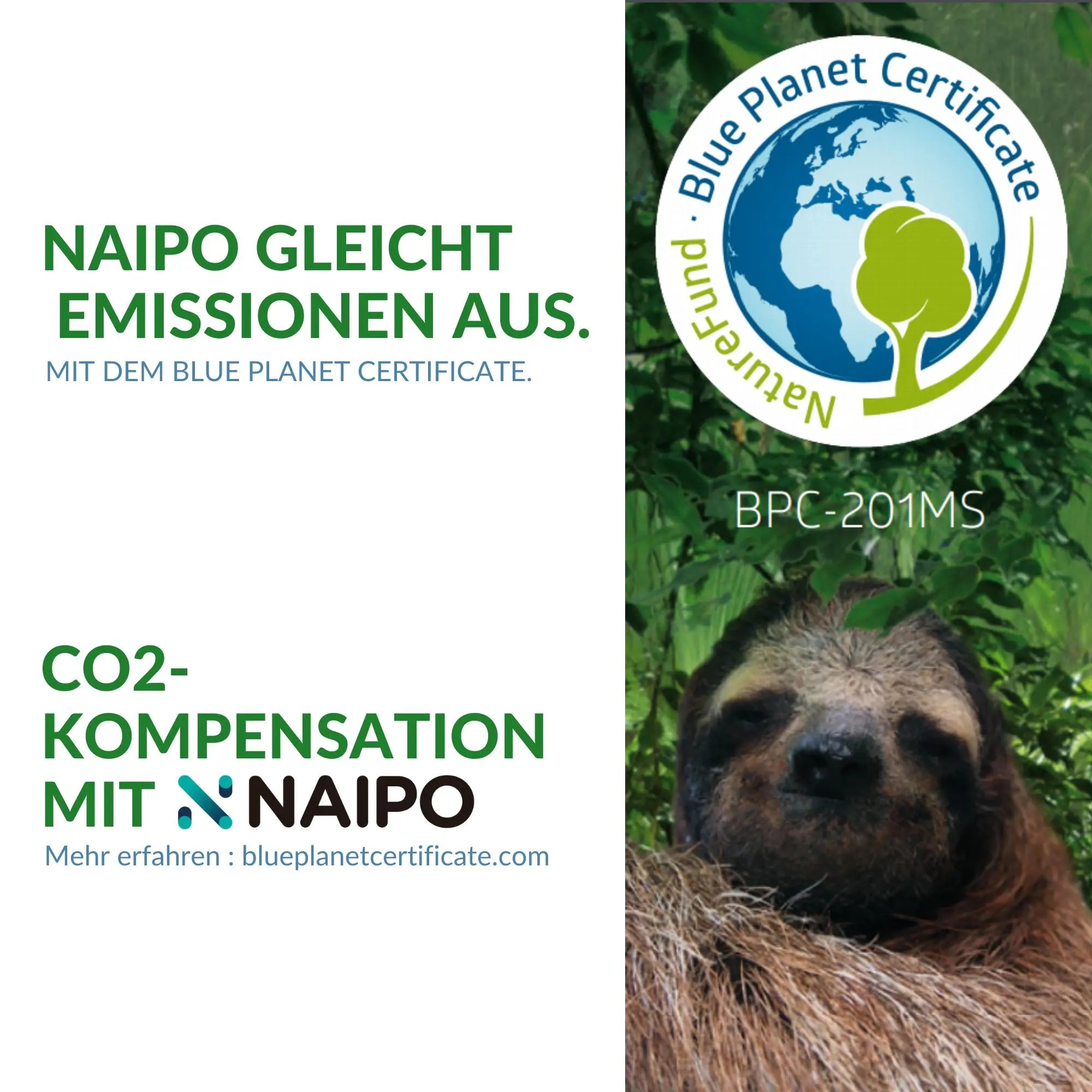 Naipo 3D High-End Massagesessel, Raumkapsel-Design, Integriertes Tablet, Zero Gravity