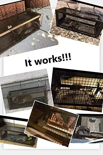 RatzFatz® 2x Lebendfalle Mausefalle, Rattenfalle, ● Sieger 2021 ● XXL, Profi, Garten & Haus, Tierfalle Set, ua Hasen & Hamster, Sensibilität einstellbar, Mehrfach, Lebend, Jagd, Käfig