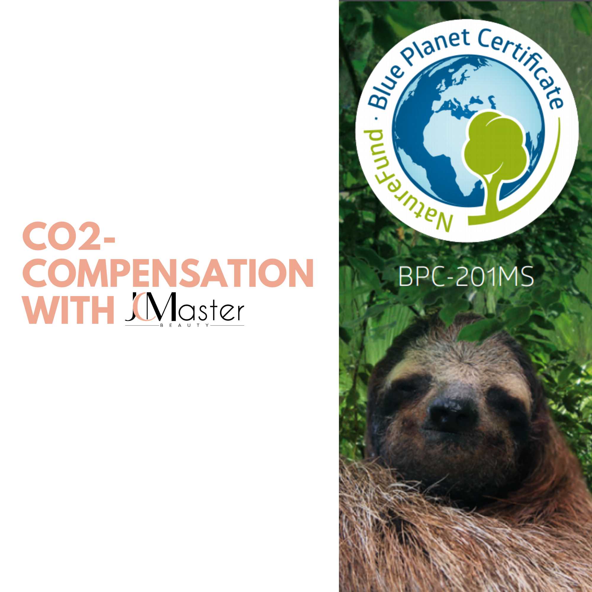 JCMaster Profi Nagelfräser, 30000 U/Min, Inkl. 5 Bits, EasyPro+