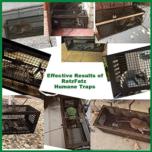 RatzFatz® 2x Lebendfalle Mausefalle, Rattenfalle, ● Sieger 2021 ● XXL, Profi, Garten & Haus, Tierfalle Set, ua Hasen & Hamster, Sensibilität einstellbar, Mehrfach, Lebend, Jagd, Käfig