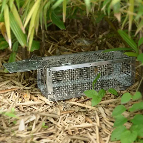 RatzFatz® XXL Lebendfalle Für Alle Kleintiere, Wiederverwendbar, Draußen & Drinnen, silber